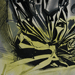 The Graphic Garbage Bags (1)